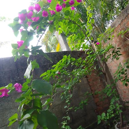Tinu Homestay มิริสซา ภายนอก รูปภาพ