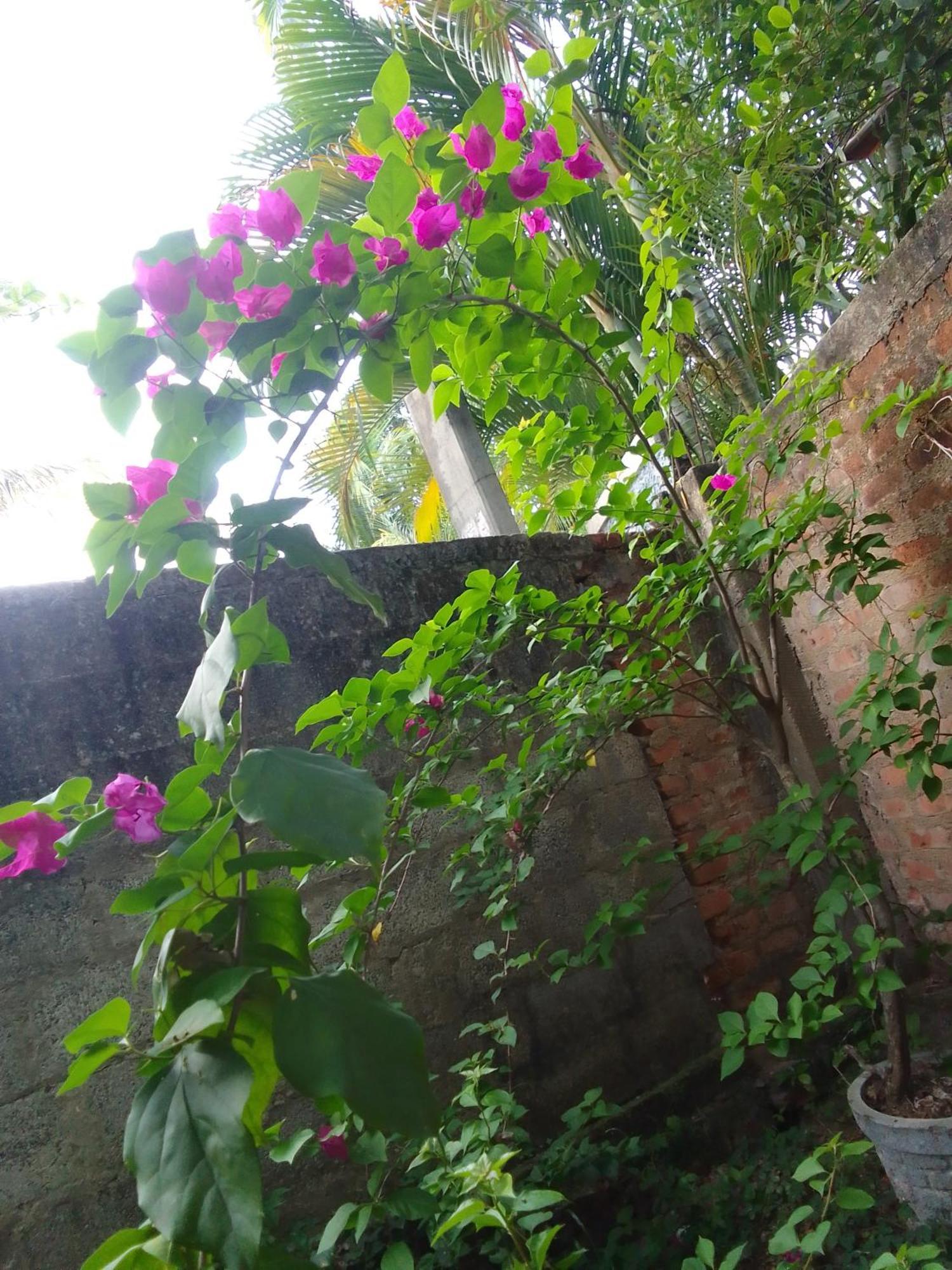 Tinu Homestay มิริสซา ภายนอก รูปภาพ